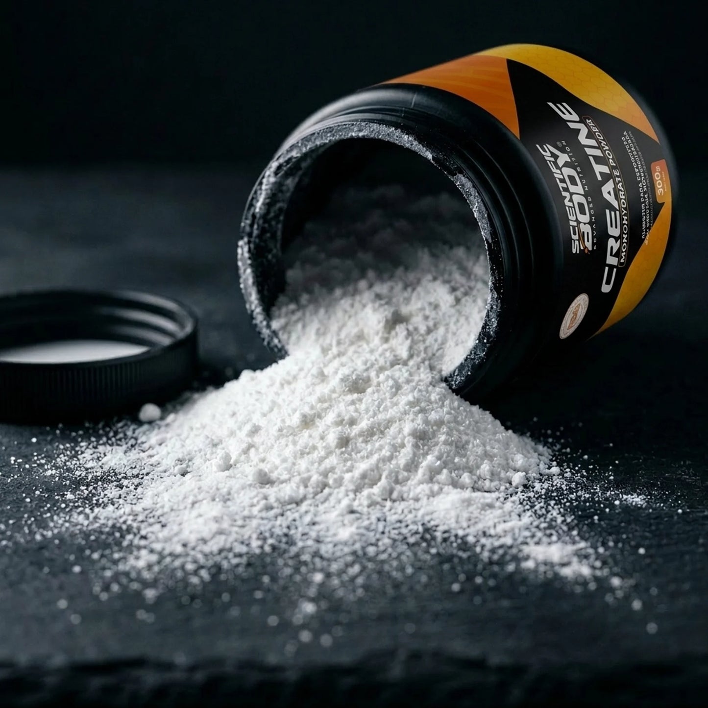 Creatina Monohidratada 300g