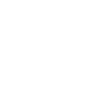 Amino acids