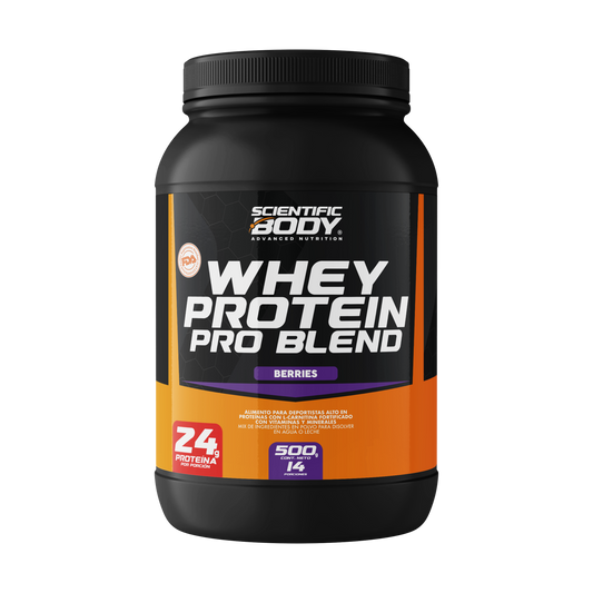Whey Protein Blend 500g Berries